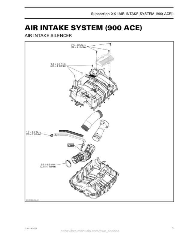 SEA 2020 Air Intake System (900 ACE) 219101005 008 en Manual