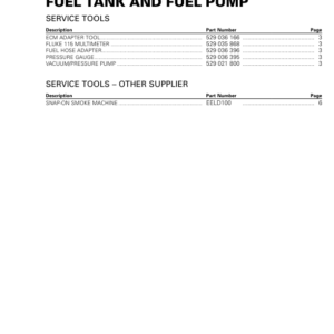 ROAD 2018 (Fuel tank and fuel pump) repair 219100949 013 Manual