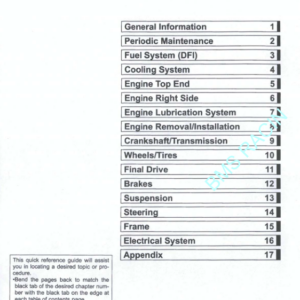 2008 Kawasaki KFX 450R Manual