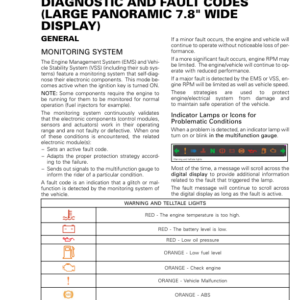 ON ROAD Diagnostic and Fault Codes (Large Panoramic 7.8``Wide) Shop 219100953 015 Manual