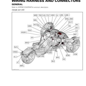 Roadster 2019 Wiring Harness and Connectors Ryker Shop 219100957 019 Manual