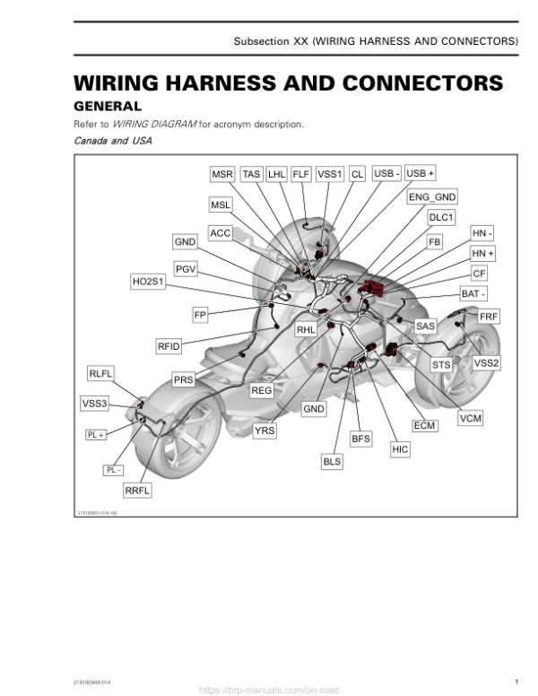 Roadster 2019 Wiring Harness and Connectors Ryker Shop 219100957 019 Manual