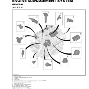 Engine Management System (EMS) (1630 ACE HO) (GTX, RXP, RXT Series WAKE PRO) Manual