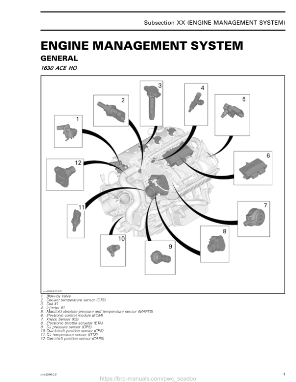 Engine Management System (EMS) (1630 ACE HO) (GTX, RXP, RXT Series WAKE PRO) Manual