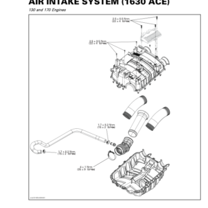 Air Intake System (1630 ACE) 219101005 009 en Manual