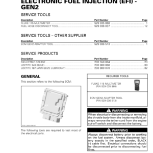 SSV 2021 Electronic Fuel Injection (EFI) GEN2 Repair RTX21 903SSV 006 en Manual