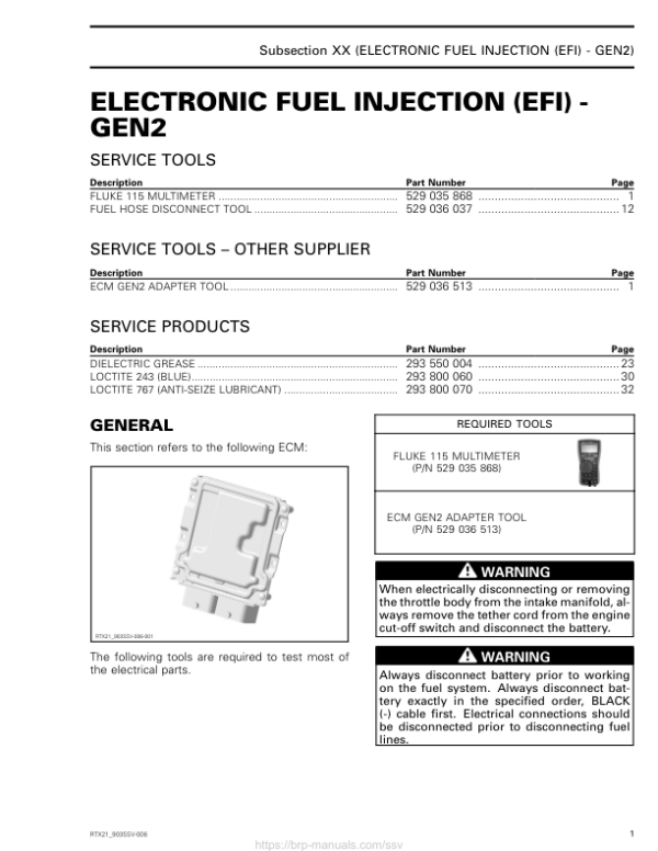 SSV 2021 Electronic Fuel Injection (EFI) GEN2 Repair RTX21 903SSV 006 en Manual