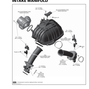 Rotax MY19 (1010RS SSV) Intake Manifold RTX19 1010RS 006 en Manual