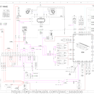 2020 All Wiring Diagram Manual