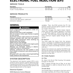 Rotax 2018 (T3 new Regulation) EFI RTXT3MY18.5 003 Manual