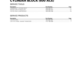 ROAD Cylinder Block 600 ACE (Ryker) Shop RTX20 ACE ROAD 008 Manual