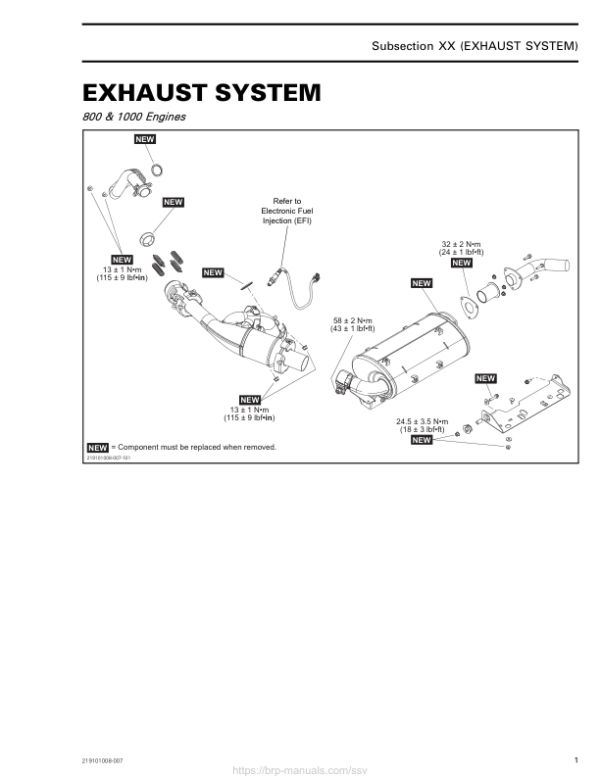 SSV 2020 Exhaust System (Trail Sport) 219101008 007 Manual