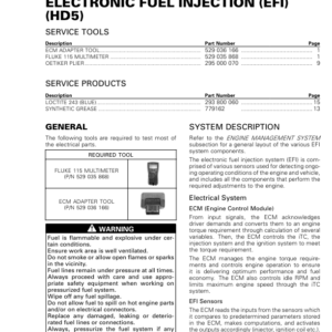 SSV 2019 Electronic Fuel Injection (EFI) (HD5) 219100967 021 Manual