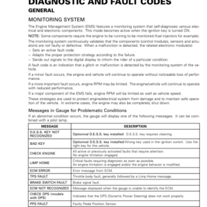 SSV 2020 Diagnostic and Fault Codes (Trail Sport) 219101008 008 Manual