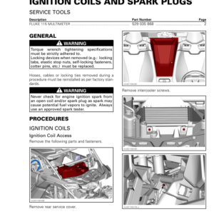 SSV 2020 Ignition Coils and Spark Plugs Repair RTX20 900SSV 012 en Manual