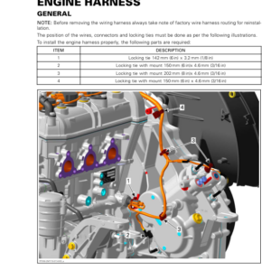 Rotax MY19 (M 2) Engine Harness RTXM 2 MY19 013 en Manual