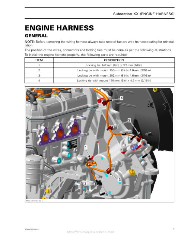 Rotax MY19 (M 2) Engine Harness RTXM 2 MY19 013 en Manual