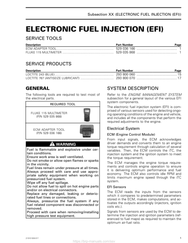 SSV 2020 Electronic Fuel Injection (EFI) (Trail Sport) 219101008 017 Manual