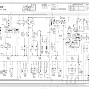 SSV 2019 Wiring Diagram 219100978 WD91Y019S10 en Manual