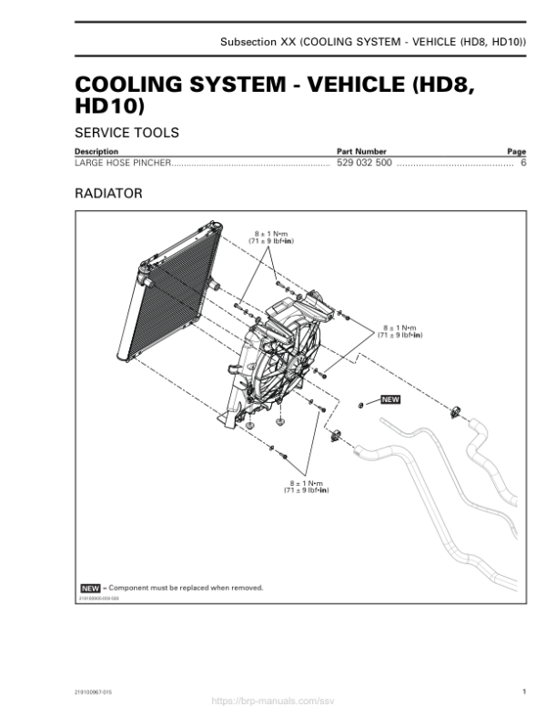 SSV 2019 Cooling System Vehicle (HD8, HD10) 219100967 015 Manual