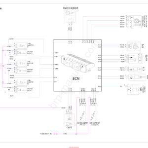 Switch 2022 Wiring Diagram 219101099 WD21YO22 Manual