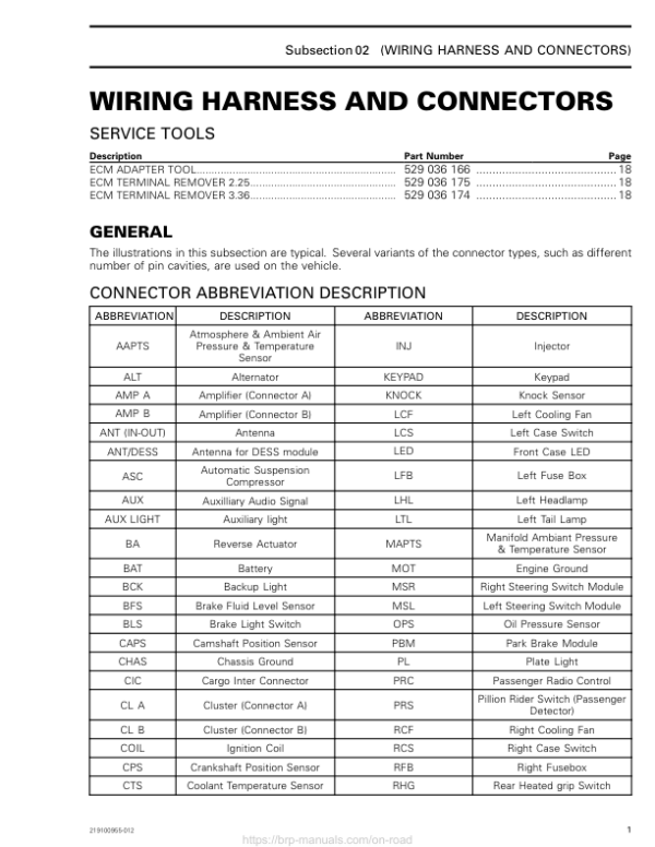 Road 2020 Wiring Harness and Connectors 219101011 009 Manual