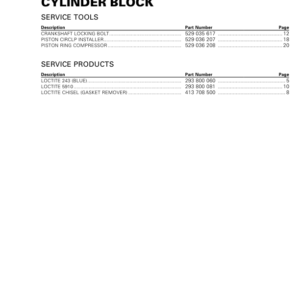 Rotax MY19 (M 3) Cylinder Block RTXM 3 MY19 008 en Manual