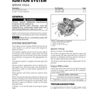 Roadster 2018 Ignition System (RT) Shop 219100891 027 Manual