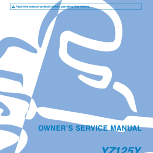 2009  Manual