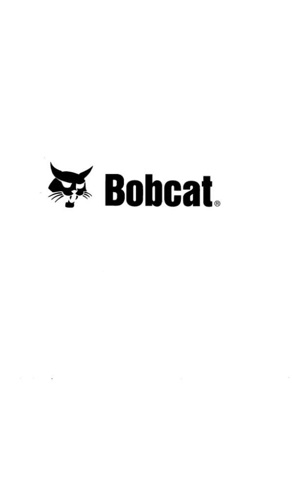 Bobcat 753 Manual - Image 3