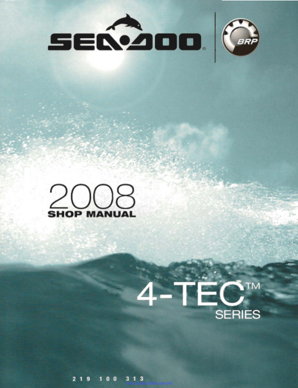 2008 seadoo shop Manual