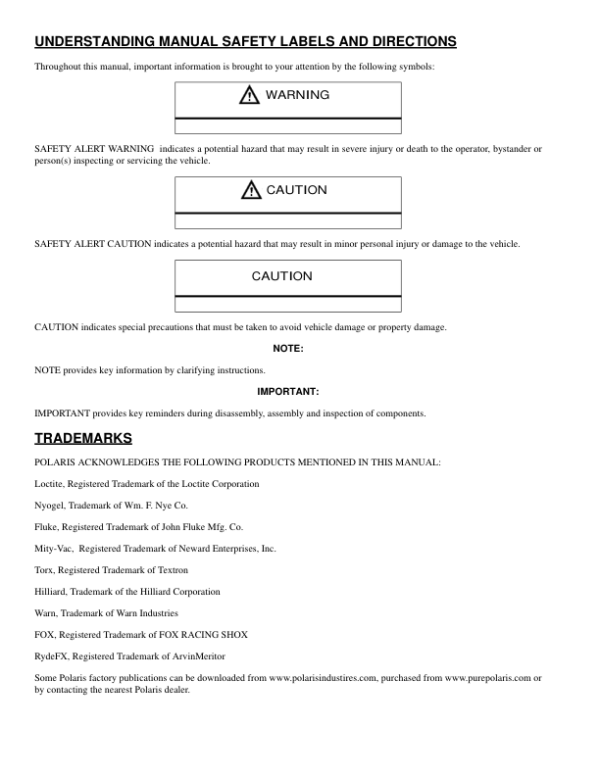 2008 Polaris RZR 800 Manual - Image 2